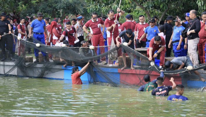 Panen Raya Ikan dan Tebar Bibit Puluhan Ribu Ekor, Polda Sumsel Dukung Penuh Misi Asta Cita